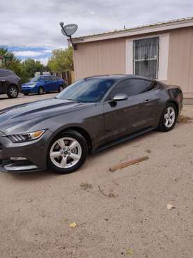2017 Ford Mustang for sale in Albuquerque, NM