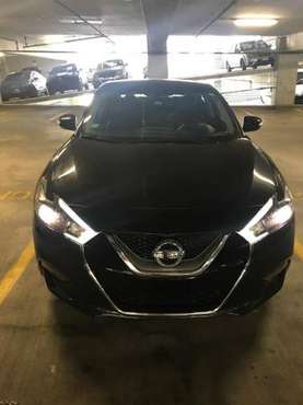 2017 Nissan Maxima for sale in TAMPA, FL
