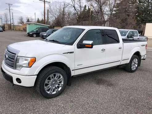 2012 FORD F150 PLATINUM - - by dealer - vehicle for sale in Conrad, ND