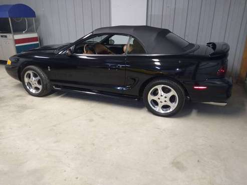 Cobra SVT Mustang - cars & trucks - by owner - vehicle automotive sale for sale in bay city, MI