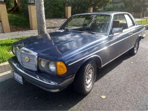 1981 Mercedes-Benz 300C for sale in Cadillac, MI