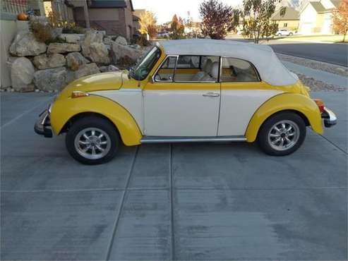 1979 Volkswagen Beetle for sale in Cadillac, MI