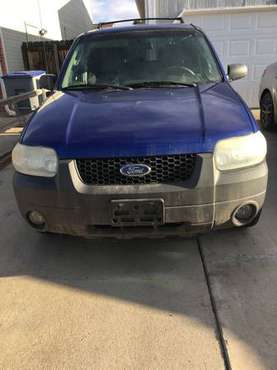 2005 Ford Escape XLT for sale in Longmont, CO