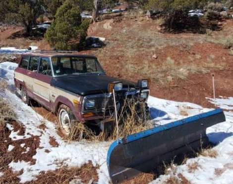 1979 Jeep Grand Wagoneer for sale in Mc Coy, CO