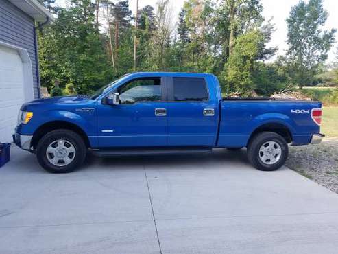 2011 Ford F 150 for sale in Quincy, MI