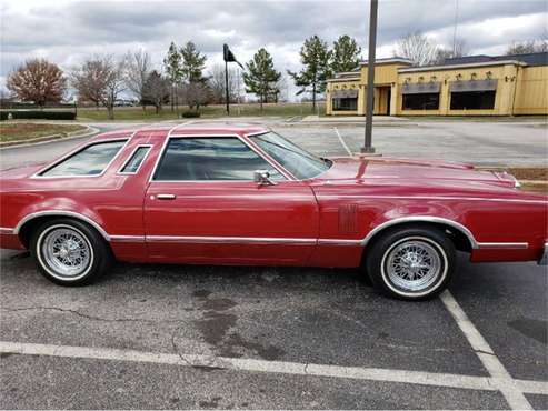 1979 Ford Thunderbird for sale in Cadillac, MI