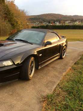 2003 Centennial Edition Mustang Convertible - cars & trucks - by... for sale in SWEETWATER, TN