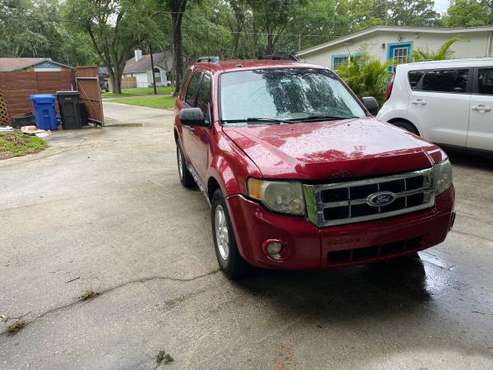2011 Ford Escape (SUV) for sale in TAMPA, FL