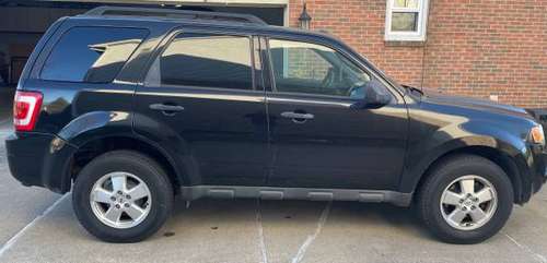 2011 Ford Escape XLT for sale in Canton, MI