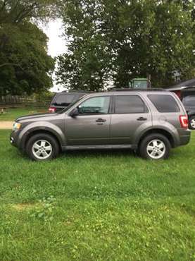 2010 Ford Escape XLT for sale in Paw Paw, MI