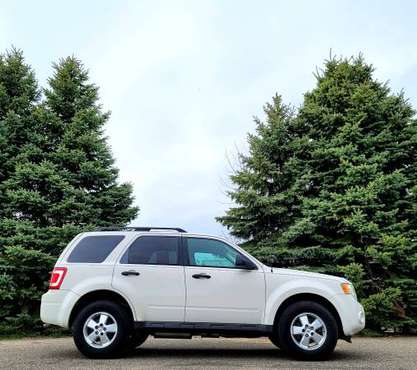 2009 Ford Escape Limited 4x4 - - by dealer - vehicle for sale in Holland , MI