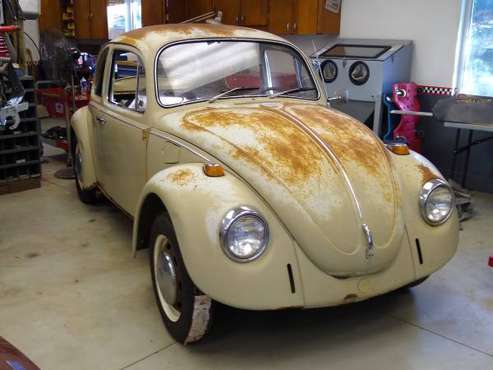 1968 VW Volkswagen Beetle Bug for sale in Tallmadge, OH