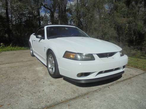 2001 Ford Mustang Cobra Convertible for sale in Brooksville, FL