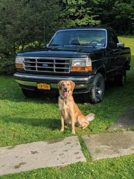 1993 Ford Bronco 4x4 5.0/302 V8 - Great shape, over $3500 for sale in Nichols, NY