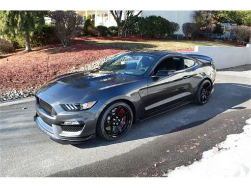 2019 Ford Mustang for sale in Cadillac, MI