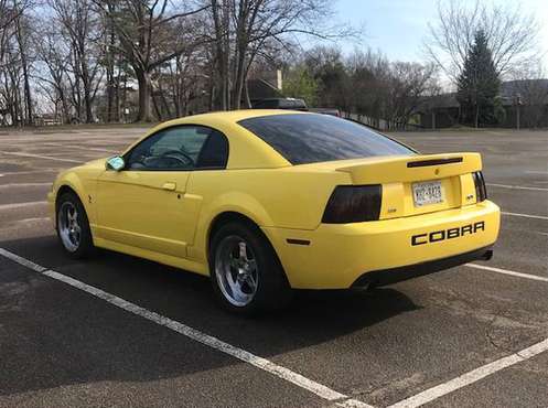 2003 Ford Cobra SVT Terminator for sale in NY