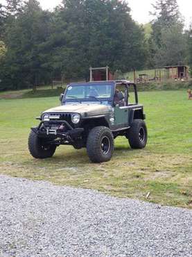 1999 Jeep Wrangler - cars & trucks - by owner - vehicle automotive... for sale in Breeding, KY