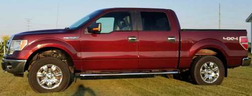 2009 Ford F150 4 x 4 for sale in Reese, MI