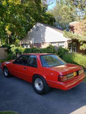 89 mustang notchback for sale in Albany, NY