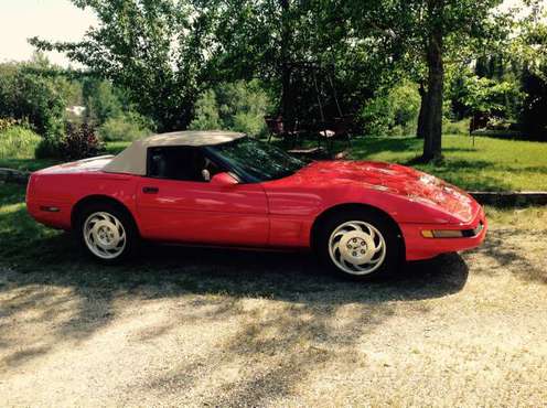 1995 Corvette Convertible for sale in Shevlin, MN