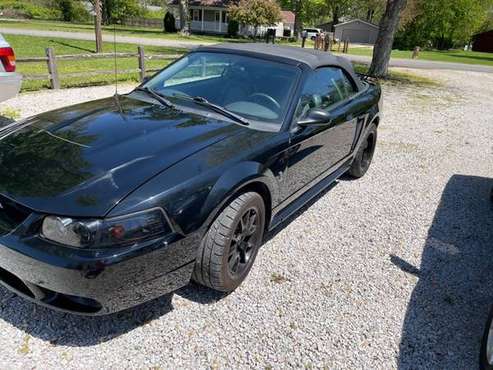 2001 Ford Mustang SVT Cobra for sale in Terre Haute, IN