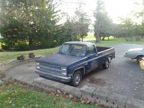 1981 Chevy C-10 1/2 ton Pickup for sale in Norristown, PA