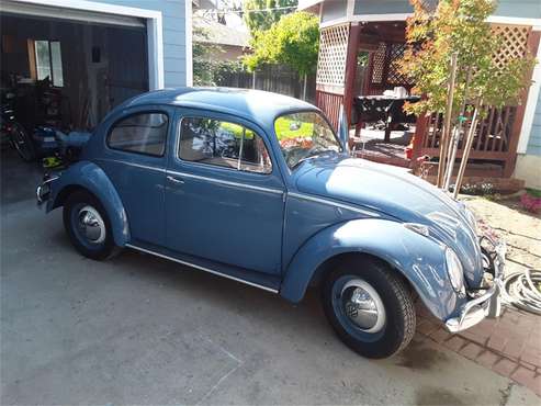 1959 Volkswagen Beetle for sale in Yuba City, CA