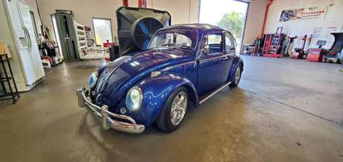 100% RESTORED 65 EURO BUG for sale in San Diego, CA
