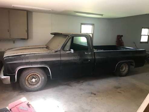C10 - cars & trucks - by owner - vehicle automotive sale for sale in Gillett, WI