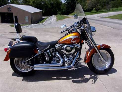 2001 Harley-Davidson Fat Boy for sale in Cadillac, MI