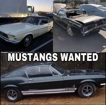 1965 to 1968 MUSTANGS WANTED - cars & trucks - by owner - vehicle... for sale in Norfolk, VA
