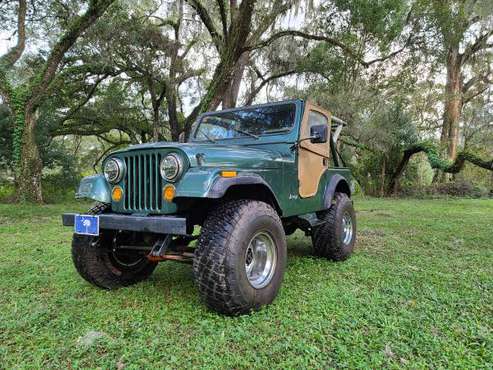 1981 Jeep CJ 5 - cars & trucks - by owner - vehicle automotive sale for sale in Brooksville, FL