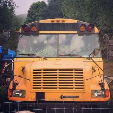 REDUCED!! School Bus for sale for sale in Marshall, NC