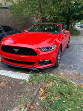 2016 Mustang Convertible - Ecoboost Premium for sale in Lafayette, IN