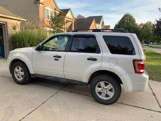 2010 Ford Escape XLT for sale in South Lyon, MI