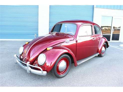 1963 Volkswagen Beetle for sale in Cadillac, MI