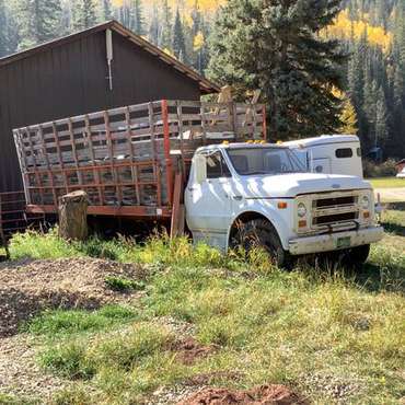 1969 Chevy Two-ton Stock Truck - cars & trucks - by owner - vehicle... for sale in Dolores, CO