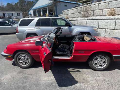 1986 Alfa Romeo spider for sale in Montrose, PA