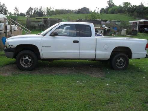 2000 Dodge Dakota 4x4 for sale in Canmer, KY