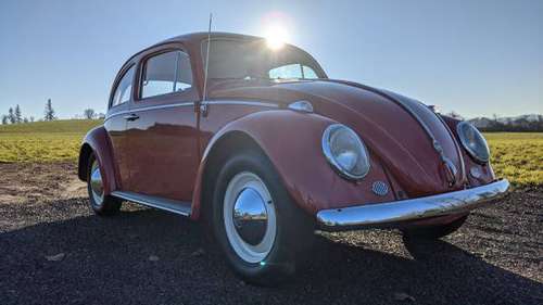 Restored 1962 Beetle - cars & trucks - by owner - vehicle automotive... for sale in Albany, OR