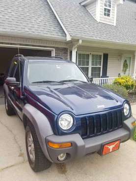 2003 Jeep Liberty for sale in Sunny Side, GA