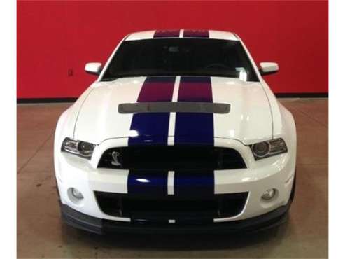 2014 Shelby GT500 for sale in Cadillac, MI