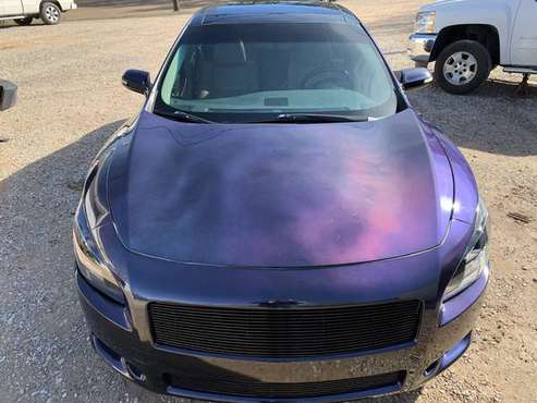 2010 maxima custom paint - cars & trucks - by owner - vehicle... for sale in Counce, TN