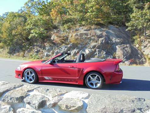 SALEEN MUSTANG CONVERTIBLE - cars & trucks - by owner - vehicle... for sale in Stephens City, District Of Columbia