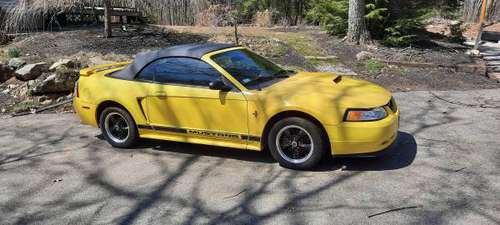 2002 Mustang Convertible for sale in Oakham, MA