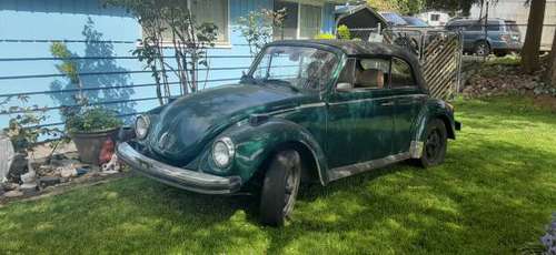 1979 vw bug convertible for sale in Federal Way, WA