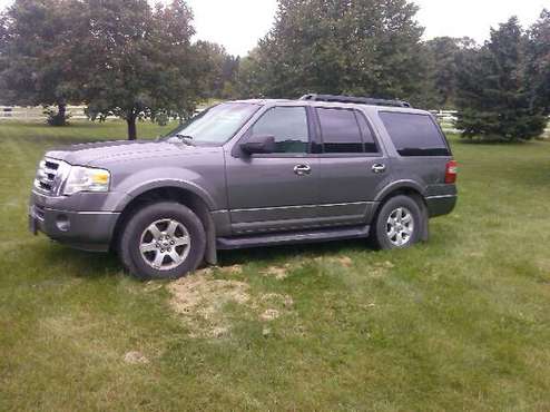 2010 Ford Expedition for sale in Wanamingo MN, MN