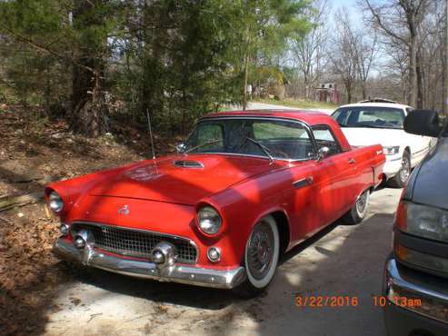 1955 Thunderbird - cars & trucks - by owner - vehicle automotive sale for sale in Williford, AR