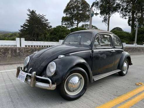 1962 Volkswagen Beetle - - by dealer - vehicle for sale in Monterey, CA