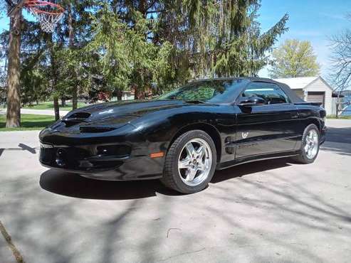2001 Trans Am WS6 Collector Edition Convertible - - by for sale in Melrose, MN